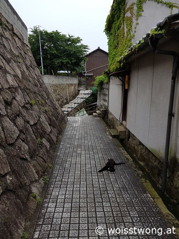 Schwarze Katze in einer Seitengasse, Onomichi, Japan