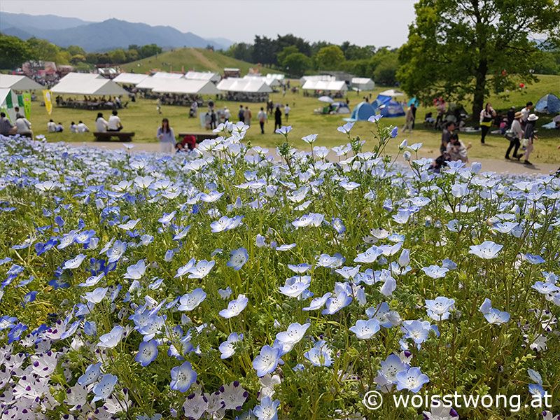 Sanuki Manno Park | Takamatsu - Sehenswürdigkeiten und kulinarische Highlights | www.woisstwong.at