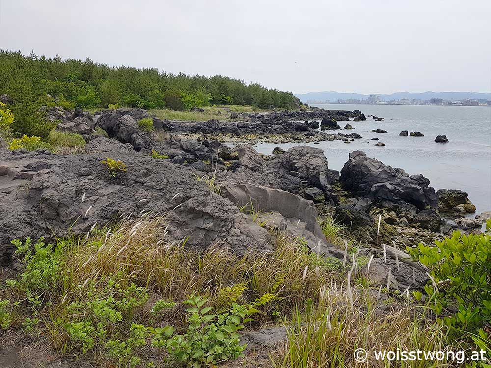 Wanderweg durch die Lavafelder der Insel Sakurajima, Kagoshima, Japan